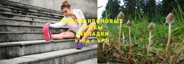 герыч Новозыбков